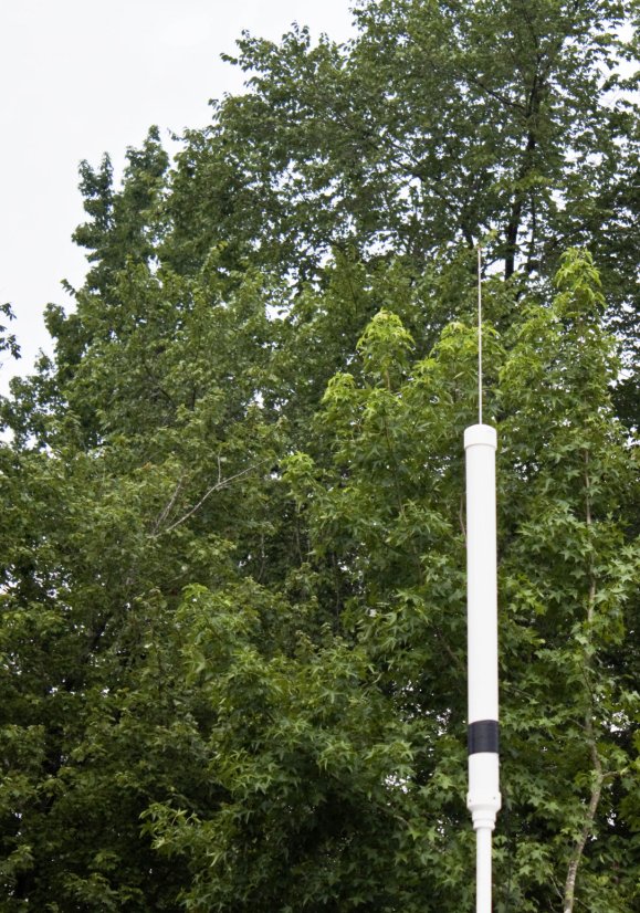 Welcome to Survivor Antenna's. I'm the mascot Robby